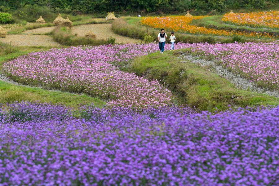 Chine : la culture des fleurs à Guiyang