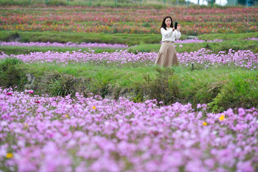 Chine : la culture des fleurs à Guiyang