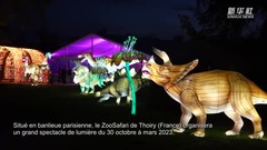 Un grand spectacle de lumière se tiendra dans un zoo français