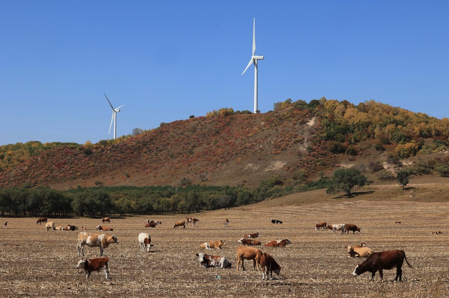 Chine : développement d'énergies nouvelles au Hebei