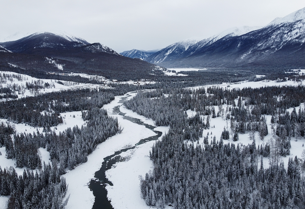 Chine: paysage de la zone pittoresque de Kanas au Xinjiang