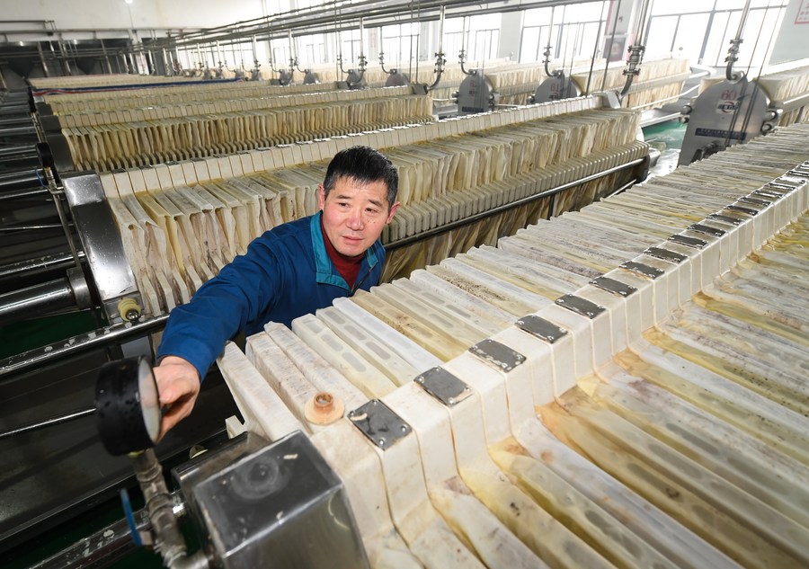 Chine : fabrication du vin de riz de Shaoxing au Zhejiang