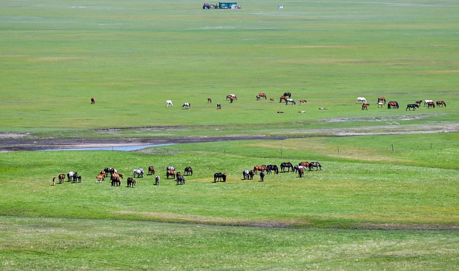 Chine : paysage de Hulun Buir en Mongolie intérieure