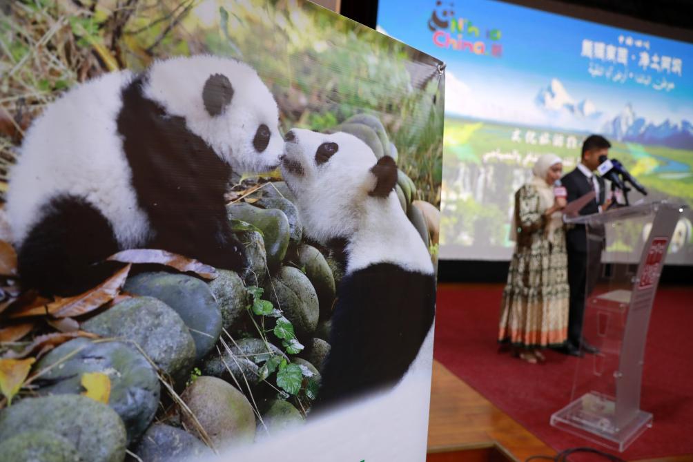 Egypte : promotion du tourisme du "pays natal des pandas"