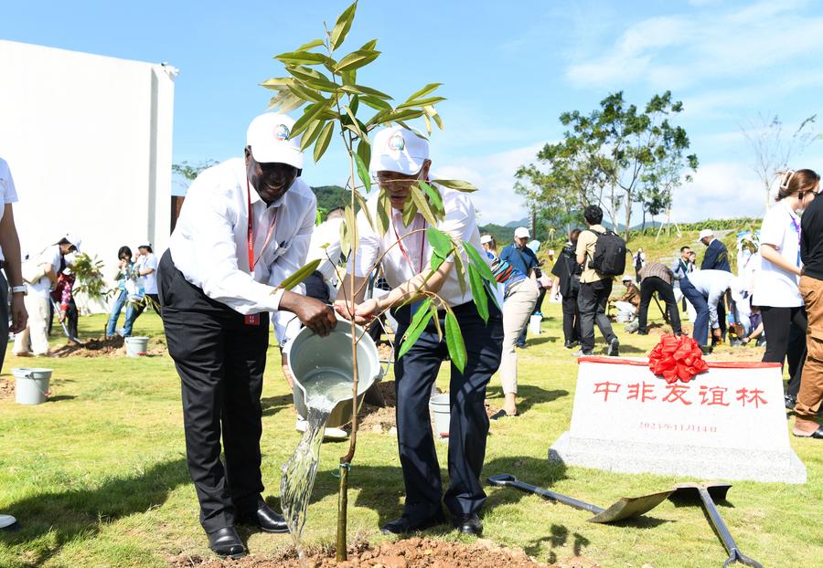 Chine : forum sur la coopération agricole Chine-Afrique à Hainan