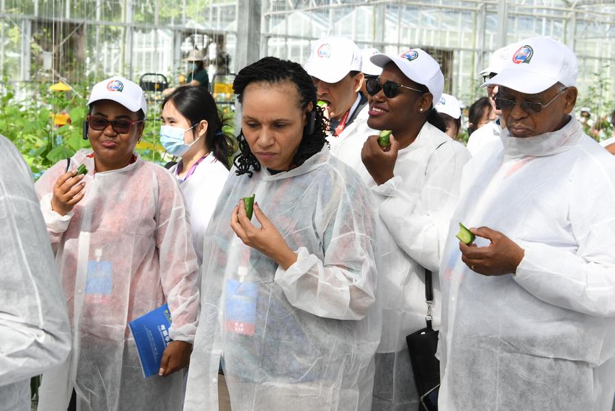 Chine : forum sur la coopération agricole Chine-Afrique à Hainan