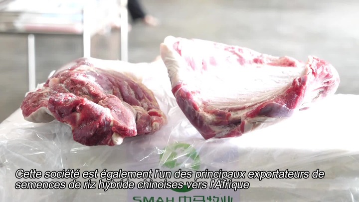 La Chine commence à importer de la viande de mouton en provenance d'Afrique