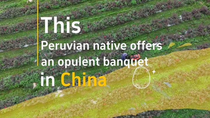 #AmazingChina | Cette originaire du Pérou offre un banquet opulent en Chine