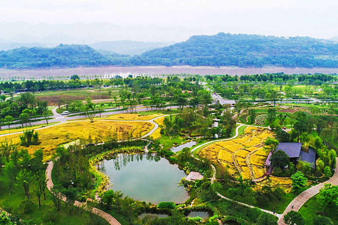 Projet de démonstration de développement vert de la ceinture économique du fleuve Yangtsé dans la région de l'île de Guangyang à Chongqing